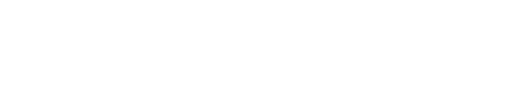 EverOnn.Ai